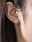 Fashion Silver Micro-set Round Earrings