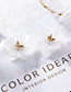 Fashion White  Silver Needle Scrub Flower Earrings
