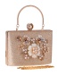 Fashion Champagne Handmade Pearl Small Square Bag