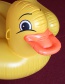 Fashion Big Yellow Duck Inflatable Row Riding Ring
