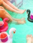 Fashion Black Flamingo Inflatable Water Coasters
