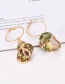 Fashion Gold Ring Conch Stud Earring