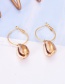 Fashion Gold Ring Shell Earrings