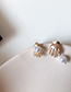 Fashion Gold Palm Pearl Earrings