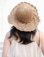 Fashion Khaki Straw Hat