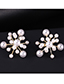 Fashion Gold Plated Gold Pearl Flower  Silver Needle Earrings